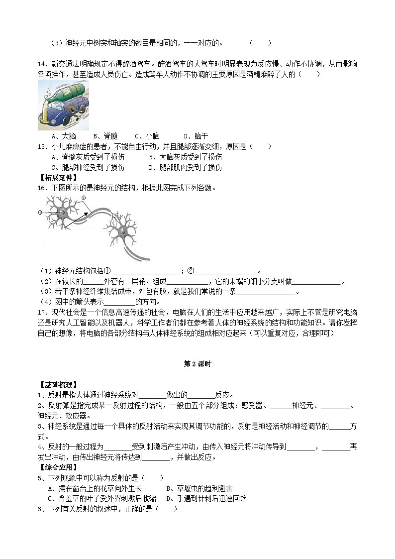 北师大版生物七年级下册 第12章 第1节  《神经系统与神经调节》同步测试02