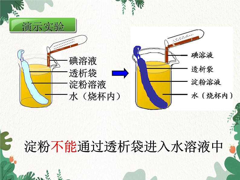 北师大版生物七年级下册 第8章 第2节 《食物的消化和营养物质的吸收》课件第5页