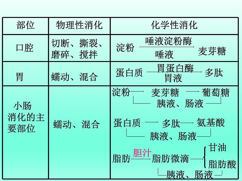 北师大版生物七年级下册 第8章 第2节 《食物的消化和营养物质的吸收》课件（第2课时）第6页