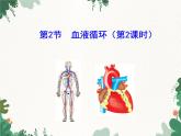 北师大版生物七年级下册 第9章 第2节 《血液循环》课件（第2课时）