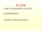 北师大版生物七年级下册 第11章 第1节 《人体产生的代谢废物》课件