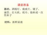 北师大版生物七年级下册 第11章 第1节 《人体产生的代谢废物》课件