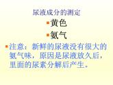 北师大版生物七年级下册 第11章 第1节 《人体产生的代谢废物》课件