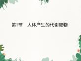 北师大版生物七年级下册 第11章 第1节 《人体产生的代谢废物》课件2