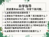 北师大版生物七年级下册 第11章 第2节《尿的形成与排出》课件