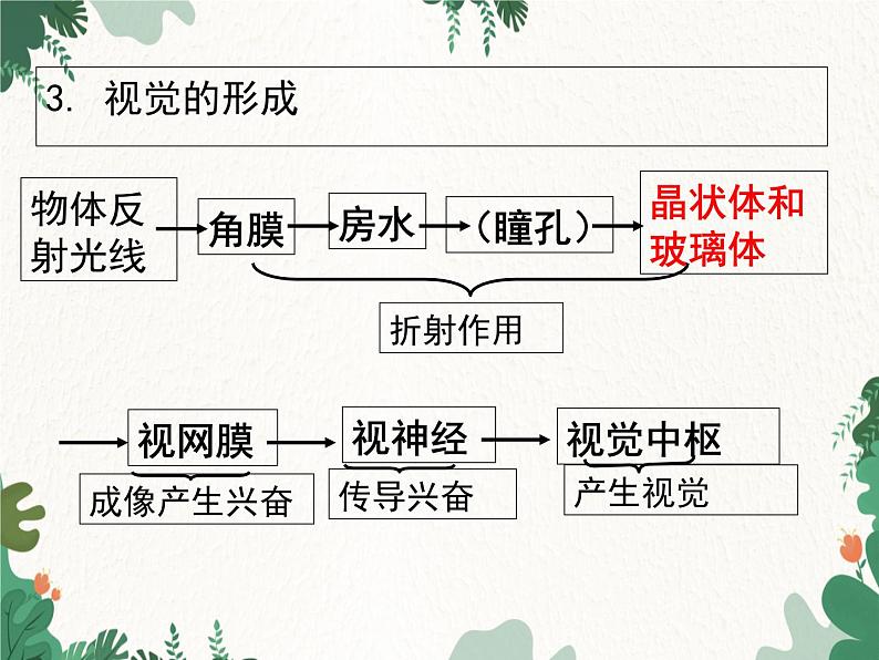 北师大版生物七年级下册 第12章 第2节 《感受器和感觉器官》课件07