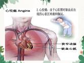 北师大版生物七年级下册 第13章 第4节 《当代主要疾病和预防》课件