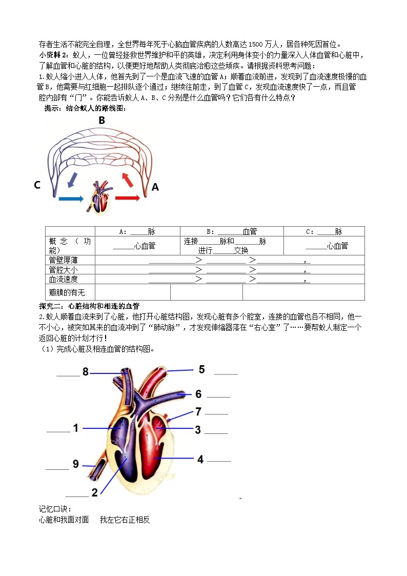 北师大版生物七年级下册 第9章 第2节  《血液循环》学案02