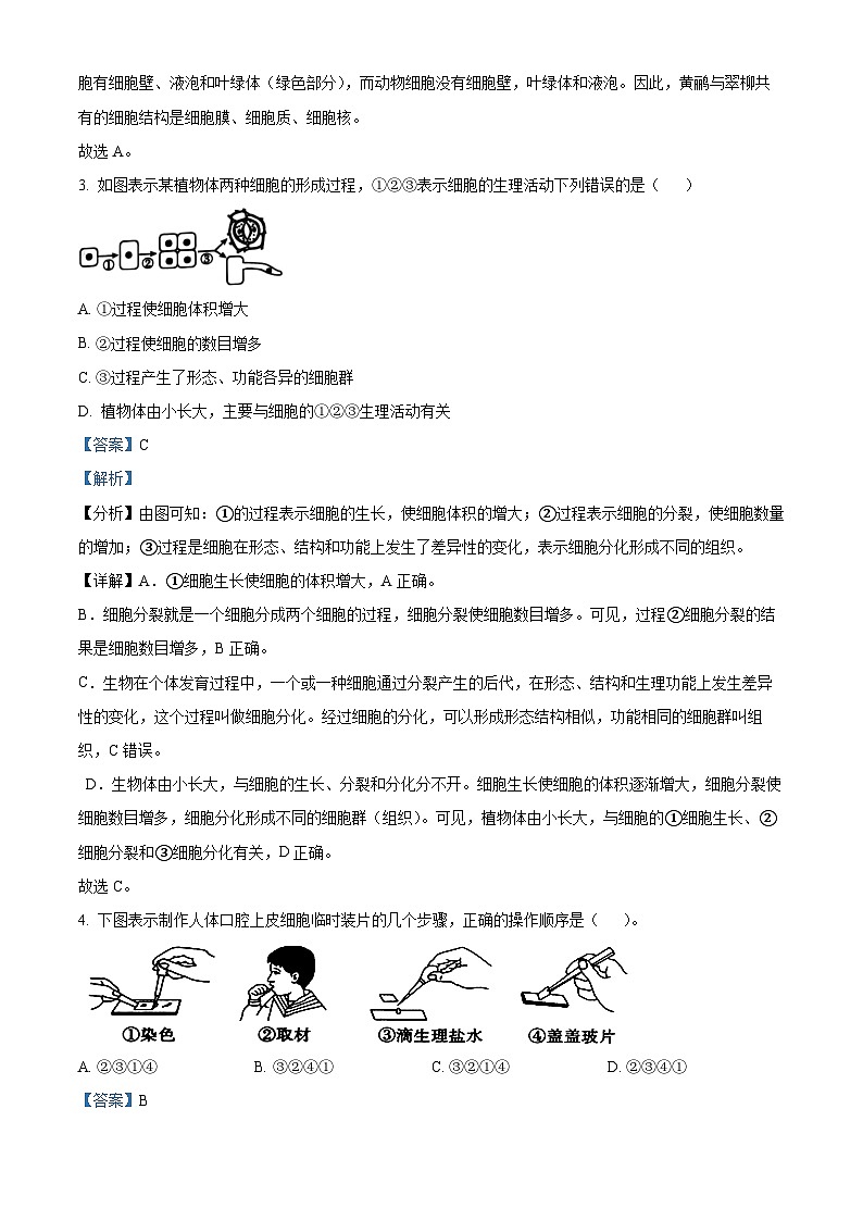 北京市房山区2023-2024学年七年级上学期期末生物试题（原卷版+解析版）02