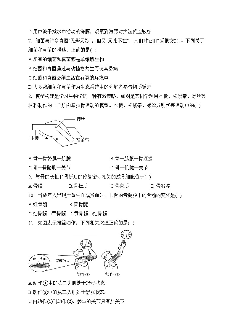 福建省龙岩市长汀县2023-2024学年八年级上学期期中质量检查生物试卷(含答案)02