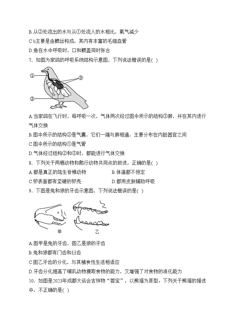 吉林省长春市农安县2023-2024学年八年级上学期期中考试生物试卷(含答案)第2页