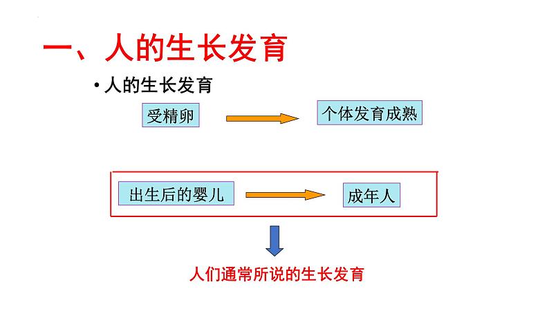 8.2++人的生长发育和青春期++课件-2023-2024学年苏教版生物七年级下册03