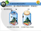7.21.1生命的起源课件2023-2024学年北师大版生物八年级下册