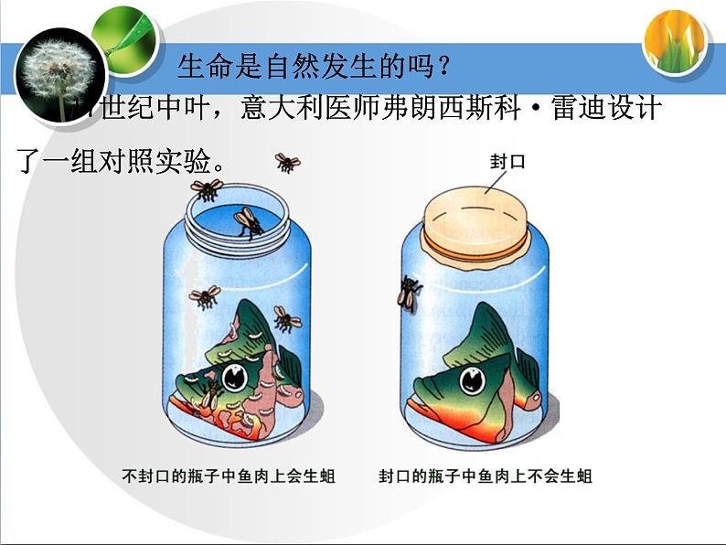 7.21.1生命的起源课件2023-2024学年北师大版生物八年级下册第4页