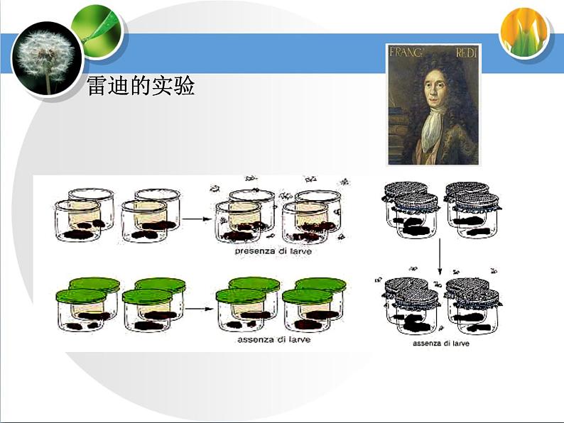 7.21.1生命的起源课件2023-2024学年北师大版生物八年级下册第5页