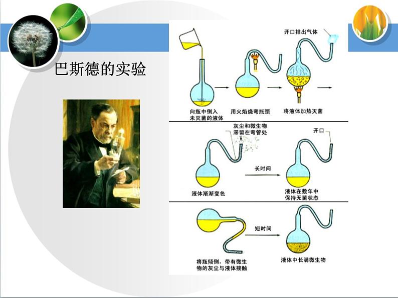 7.21.1生命的起源课件2023-2024学年北师大版生物八年级下册第6页