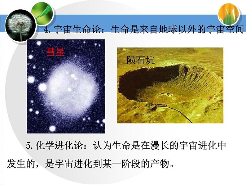 7.21.1生命的起源课件2023-2024学年北师大版生物八年级下册第8页