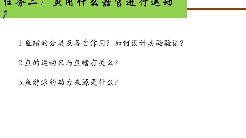 5.10.1+水中的动物课件2023-2024学年苏科版生物七年级下册06