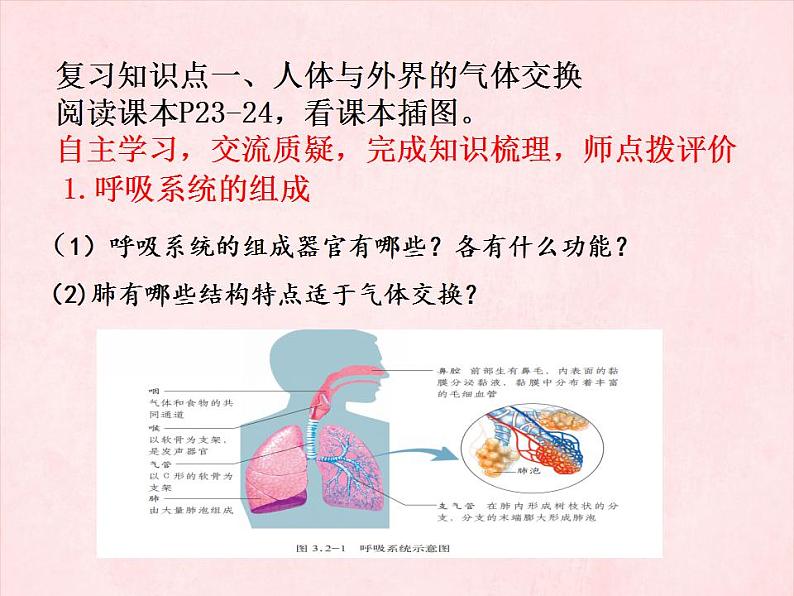 3.2人的生活需要空气复习课件-2023-2024学年济南版生物七年级下册第3页