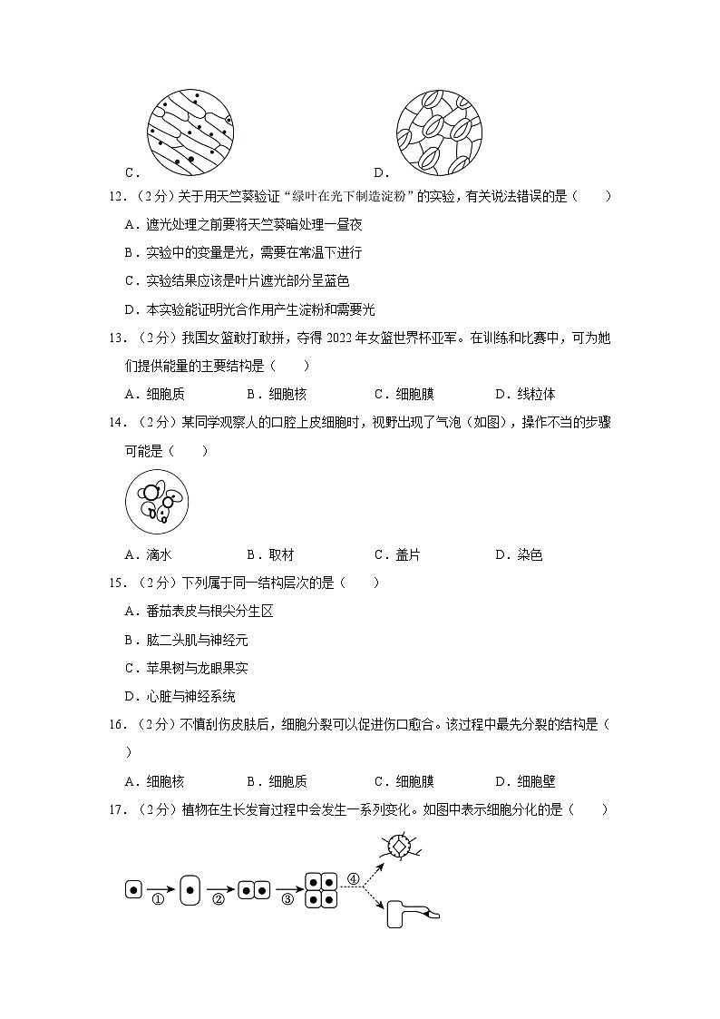 广东省揭阳市揭东区2023-2024学年七年级下学期入学生物试卷03