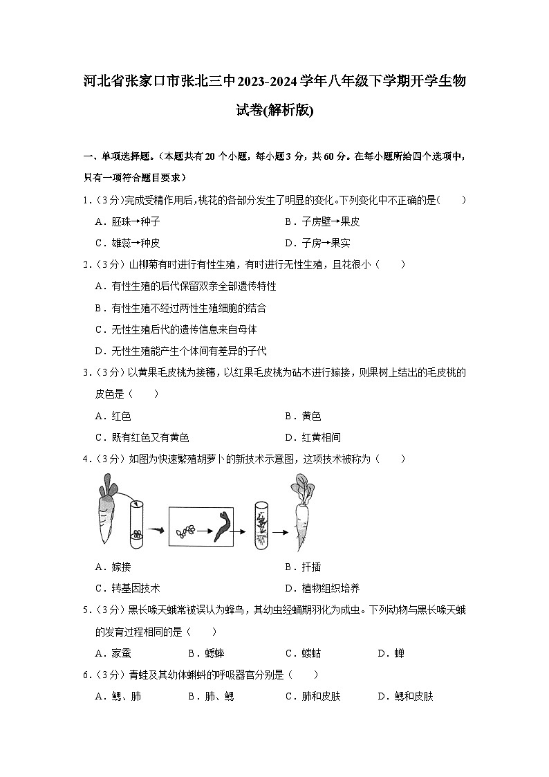河北省张家口市张北三中2023-2024学年八年级下学期开学生物试卷第1页