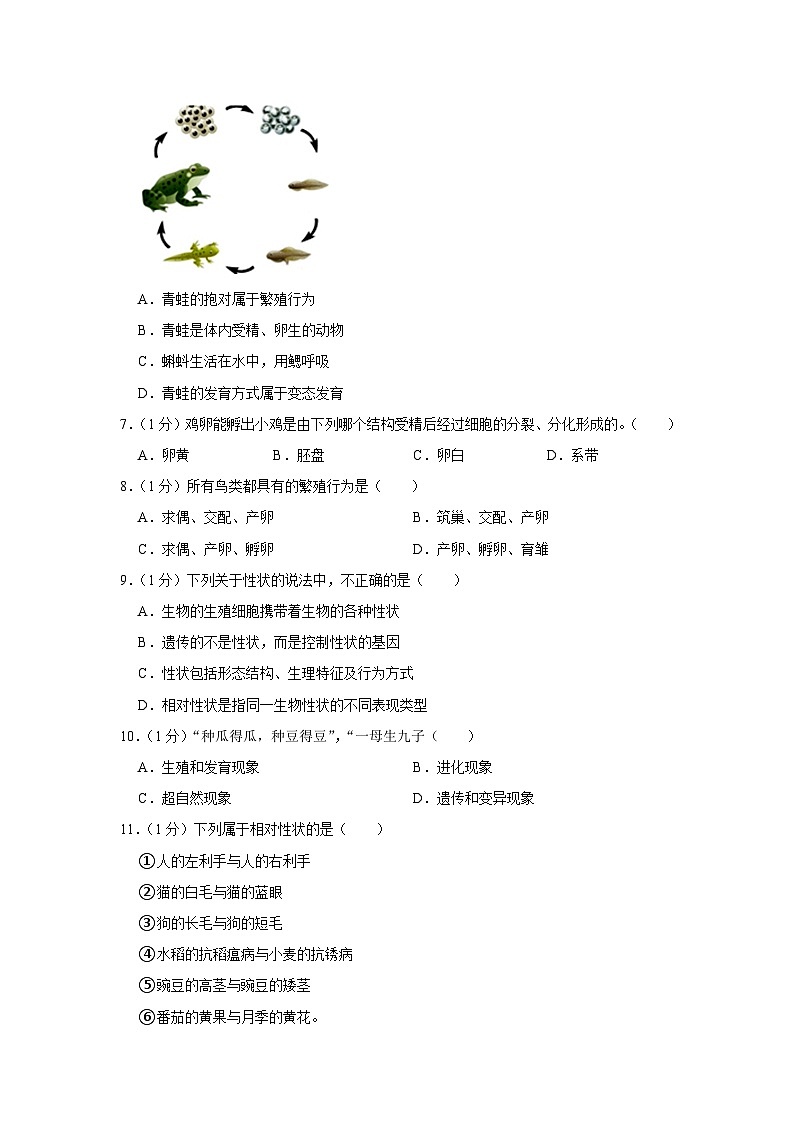 河南省南阳市南召县2023-2024学年八年级下学期开学生物试卷第2页