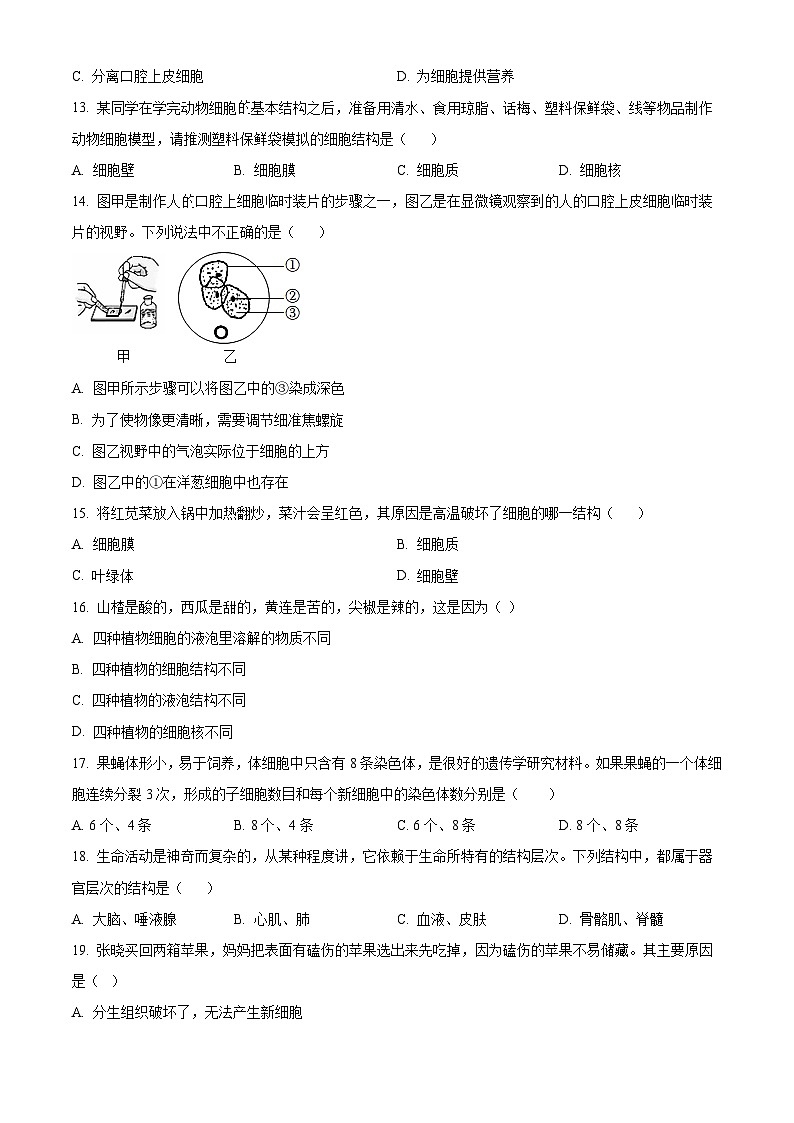 精品解析：河南省商丘市民权县2023-2024学年七年级上学期期中生物试题 （原卷版）第3页