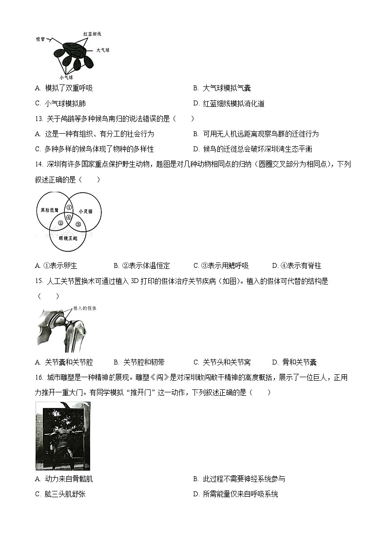 广东省深圳市南山区2023-2024学年八年级上学期生物期末试题（原卷版+解析版）03