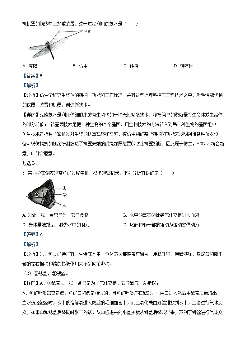 广东省深圳市南山区2023-2024学年八年级上学期生物期末试题（原卷版+解析版）03