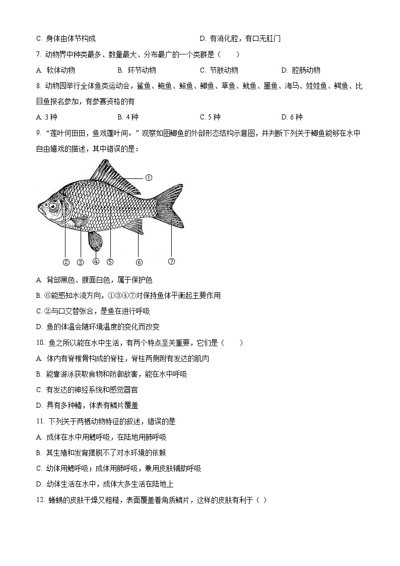 精品解析：广东省东莞市沙田镇2023-2024学年八年级上学期期中生物试题（原卷版）第2页