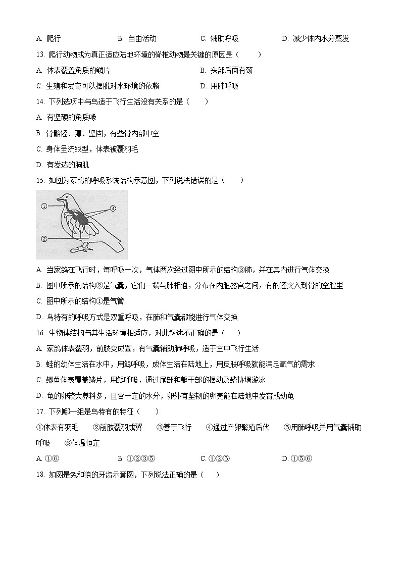 精品解析：广东省东莞市沙田镇2023-2024学年八年级上学期期中生物试题（原卷版）第3页