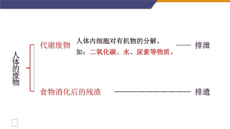 尿液的形成和排出 第一课时 课件第3页