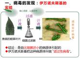 5.5+病毒课件2023--2024学年人教版生物八年级上册