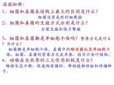 5.4.4+细菌和真菌在自然界中的作用课件2023-2024学年人教版生物八年级上册