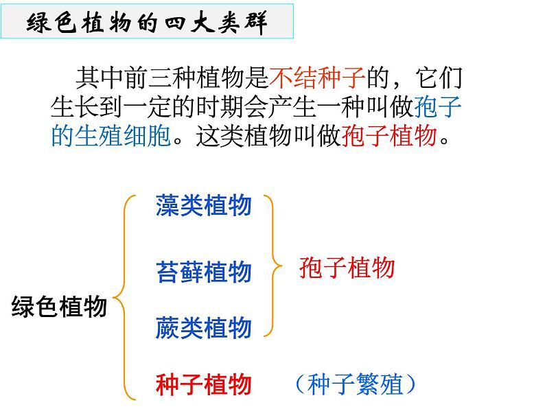 3.1.1+藻类、苔藓和蕨类植物课件2023--2024学年人教版生物七年级上册04