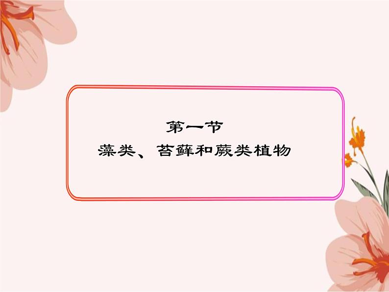 3.1.1+藻类、苔藓和蕨类植物课件2023--2024学年人教版生物七年级上册05