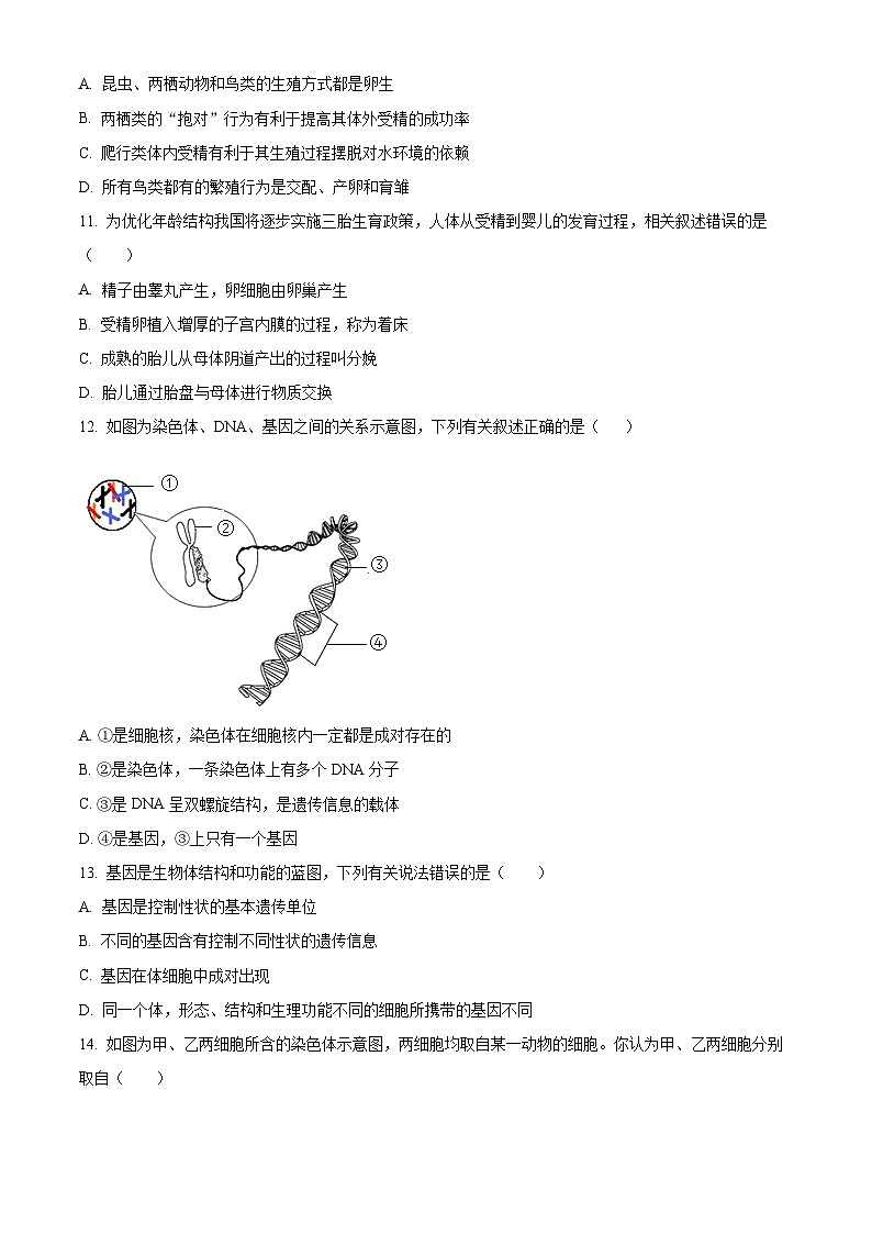 山东省德州市武城县2023-2024学年八年级上学期期末生物试题（原卷版+解析版）03