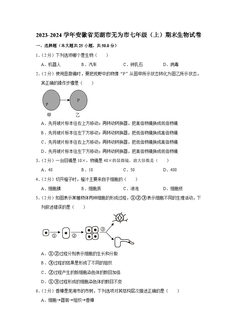 安徽省芜湖市无为市2023-2024学年七年级上学期期末生物试题第1页