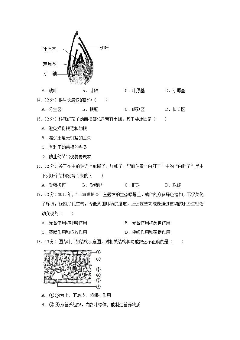 安徽省芜湖市无为市2023-2024学年七年级上学期期末生物试题第3页