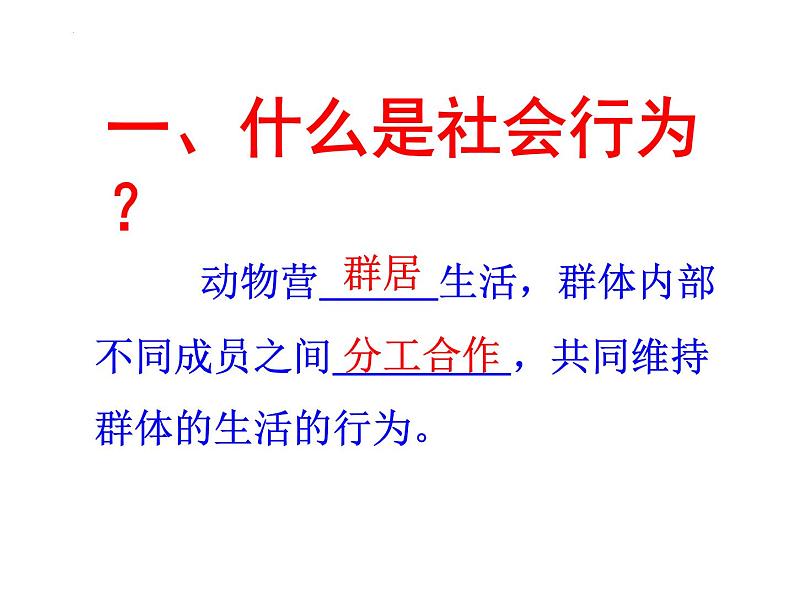 5.2.3 社会行为课件2023-2024学年人教版生物八年级上册06