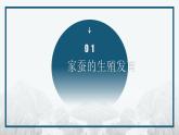 7.1.2 昆虫的生殖和发育课件2023--2024学年人教版生物八年级下册