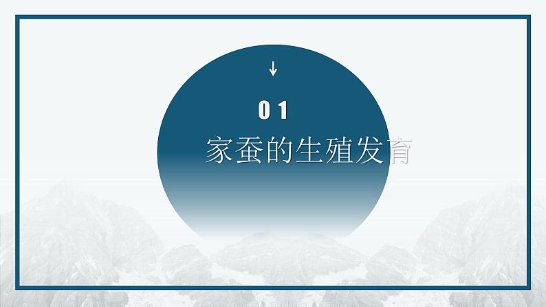 7.1.2 昆虫的生殖和发育课件2023--2024学年人教版生物八年级下册第2页