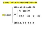 7.1.2 昆虫的生殖和发育课件2023--2024学年人教版生物八年级下册