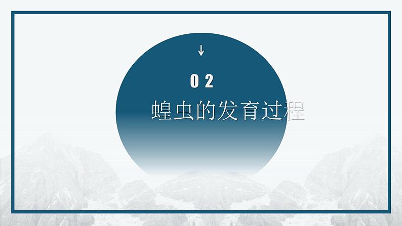 7.1.2 昆虫的生殖和发育课件2023--2024学年人教版生物八年级下册第7页