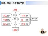 7.2.1基因在亲子代间的传递课件2023--2024学年人教版生物八年级下册