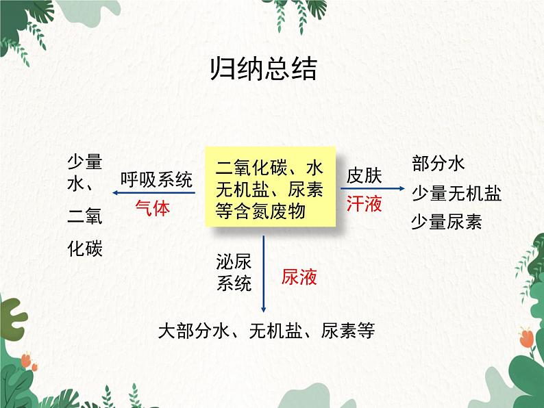 北师大版生物七年级下册 第11章 第1节 《人体产生的代谢废物》课件2第6页