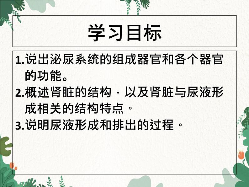 北师大版生物七年级下册 第11章 第2节《尿的形成与排出》课件02