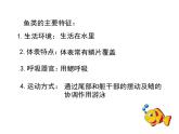 5.1.5++两栖动物和爬行动物++课件-2023-2024学年人教版生物八年级上册