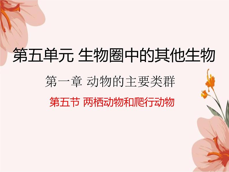 5.1.5++两栖动物和爬行动物++课件-2023-2024学年人教版生物八年级上册第4页