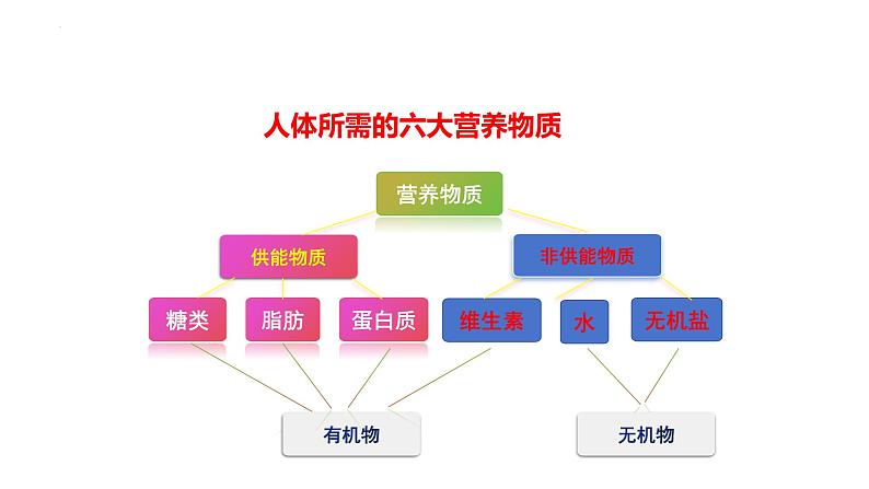 4.2.1++食物中的营养物质++课件-2023-2024学年人教版生物七年级下册第4页